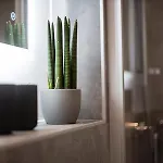 Q-stall Am Poppenberg Apartamento Brilon