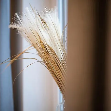 Q-stall Am Poppenberg *