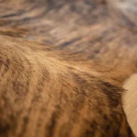 Q-stall Am Poppenberg Apartmán *