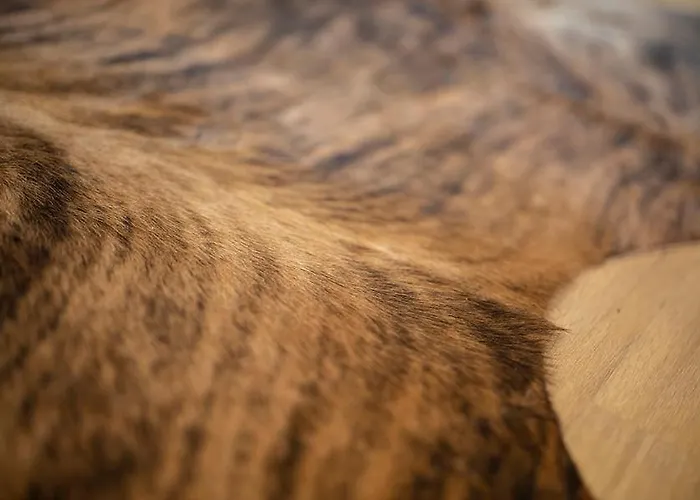 Q-stall Am Poppenberg Daire *